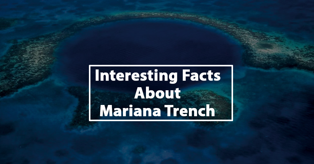 Interesting Facts About Mariana Trench