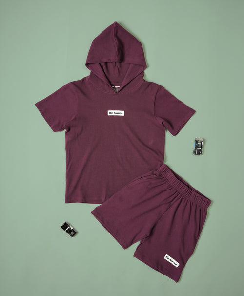 Boys Italian Plum Half Sleeves Hoodie T-Shirt & Shorts Set