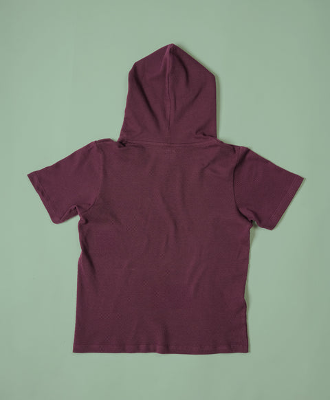 Boys Italian Plum Half Sleeves Hoodie T-Shirt & Shorts Set