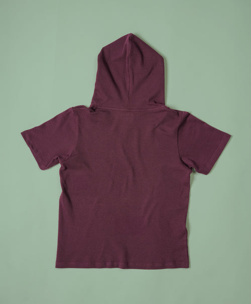 Boys Italian Plum Half Sleeves Hoodie T-Shirt & Shorts Set