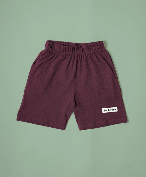 Boys Italian Plum Half Sleeves Hoodie T-Shirt & Shorts Set