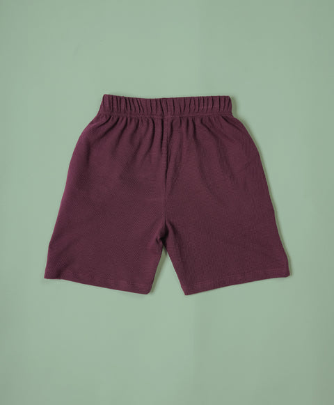 Boys Italian Plum Half Sleeves Hoodie T-Shirt & Shorts Set