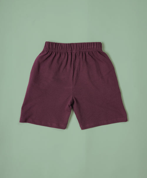 Boys Italian Plum Half Sleeves Hoodie T-Shirt & Shorts Set